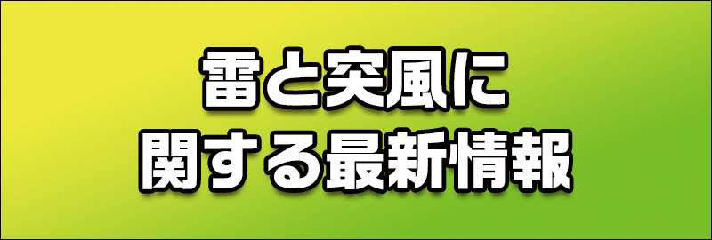 大雨に関する情報