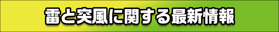 大雨に関する情報