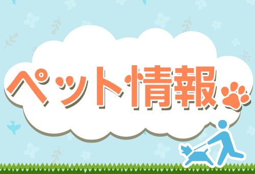 ペット情報