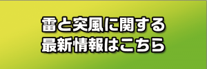 雷と突風及びひょうに関する気象情報