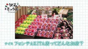 ナイス フォンテAKITA店ってどんなお店？