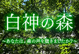 白神の森〜あなたは、森の声を聴きましたか?〜