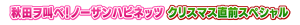 秋田ヲ叫べ★ノーザンハピネッツ クリスマス直前スペシャル