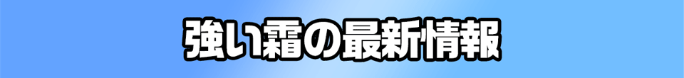 強い霜の最新情報