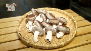 畑は笑顔　菌床しいたけ