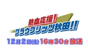 ブラウブリッツ