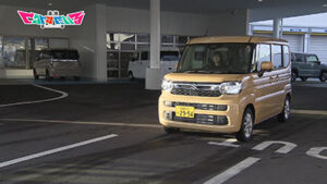 カースタイル1216