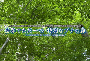 ABS秋田放送開局70周年記念番組「白神山地・世界遺産登録30周年記念 世界でただ一つ 特別なブナの森 ～Rediscovery & Restart shirakami～」