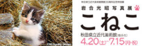 岩合光昭写真展「こねこ」