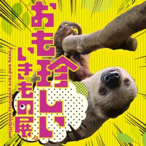 おも珍しいいきもの展