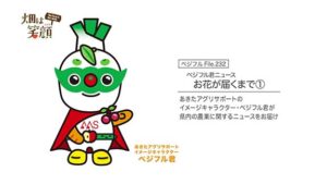 畑は笑顔232