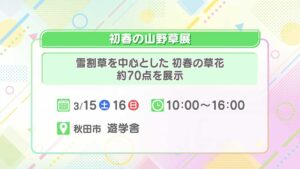 初春の山野草展