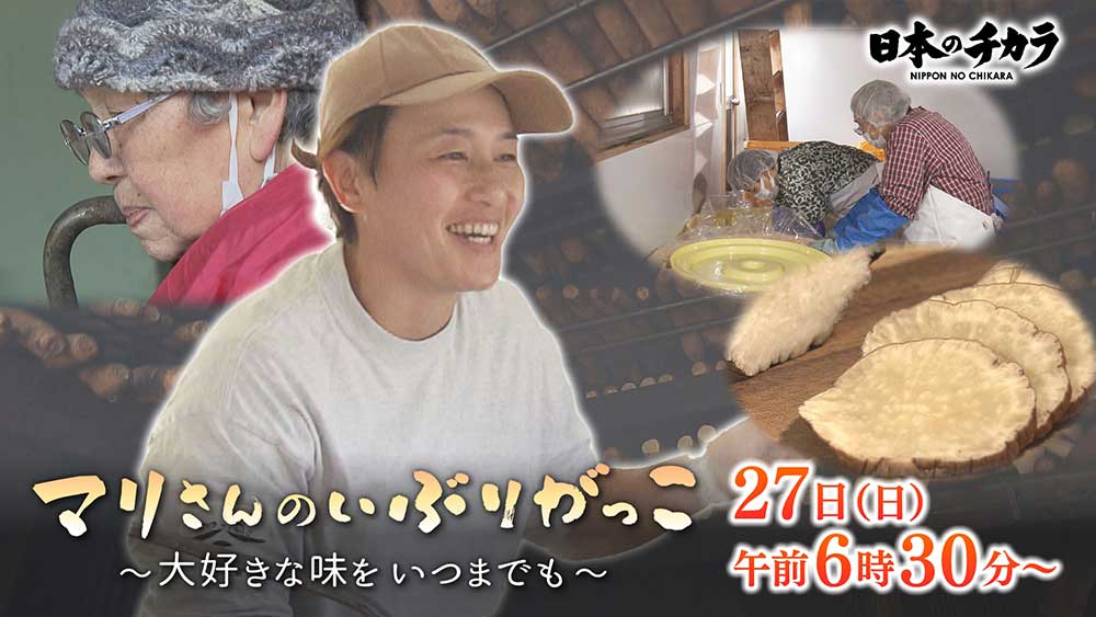日本の力