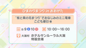 ひまわりまつりinおおがた