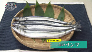 旬菜きっちん223