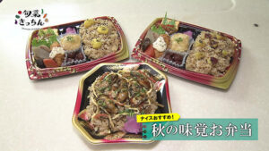 旬菜きっちん224