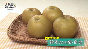 旬菜きっちん225