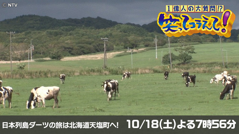 笑ってコラえて