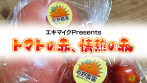 トマトの赤、情熱の赤