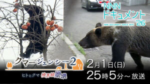 クマージェンシー