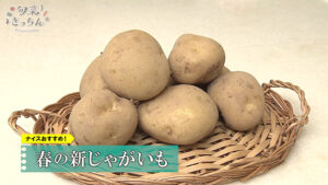 旬菜きっちん233