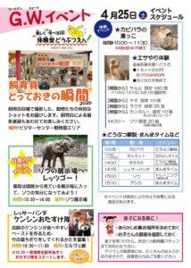 大森山動物園G.W.特別イベント 4/25スケジュール