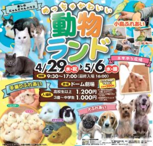 20260429-0506cuteanimals
