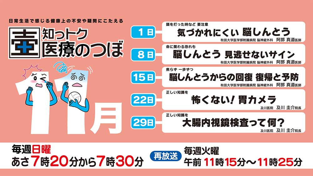 11月の放送スケジュール